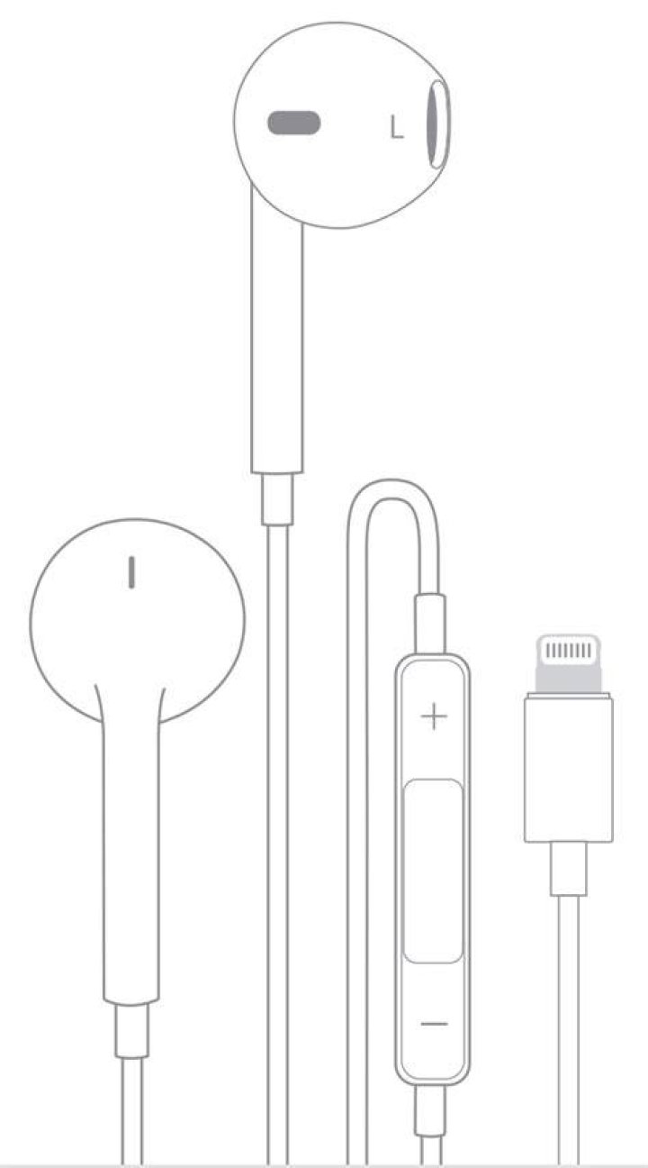 Do Apple Earpods work with iPhone 6s?