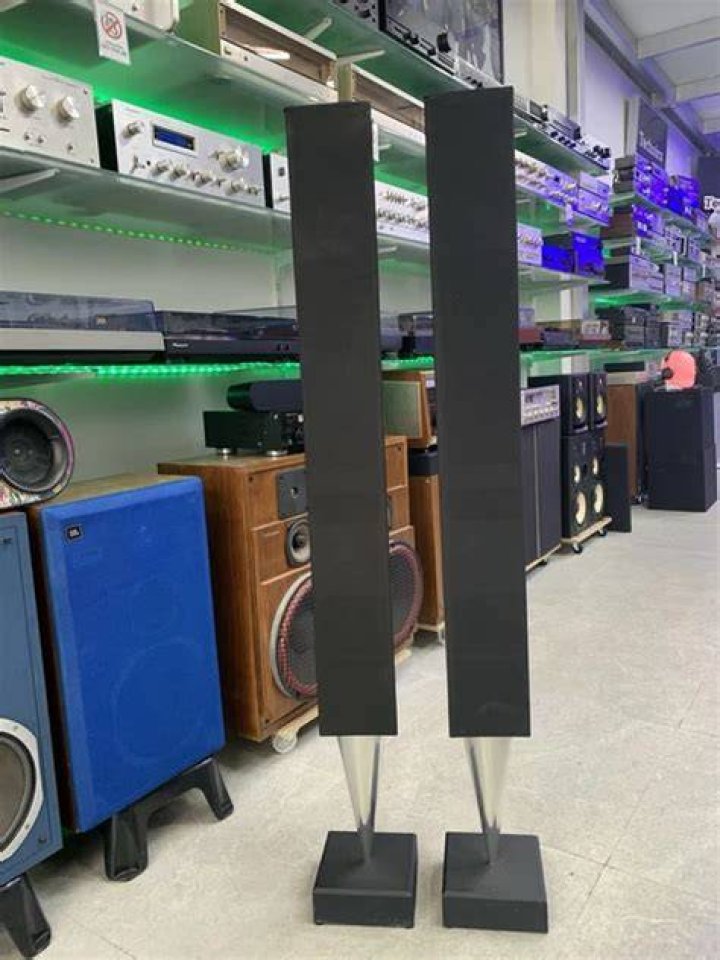 Is the Bang and Olufsen 8000 a good speaker?