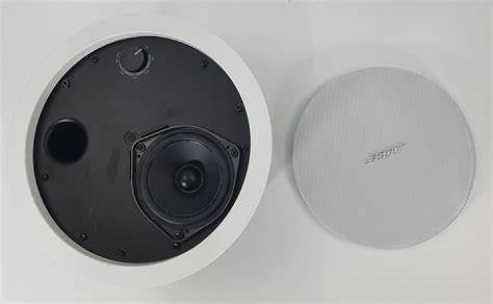 What is the Bose FreeSpace DS loudspeaker used for?