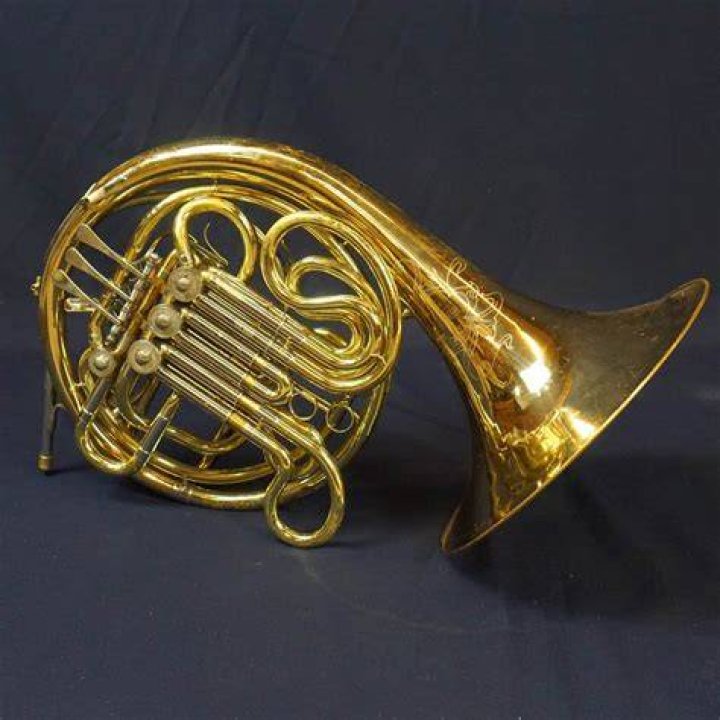Where can I buy a used French horn?